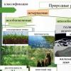 Resumen: Presentación uso racional y protección de la vegetación Protección y uso racional de las plantas