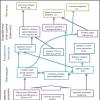 Caracteristici ale conducerii unei instituții de învățământ moderne: metode de management și tipuri de funcții de management