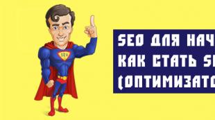 Where to start learning SEO promotion
