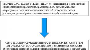 Gestión: Sistema de Información Logística, Trabajo del curso: Estructura funcional y organizativa de un sistema de información logística.