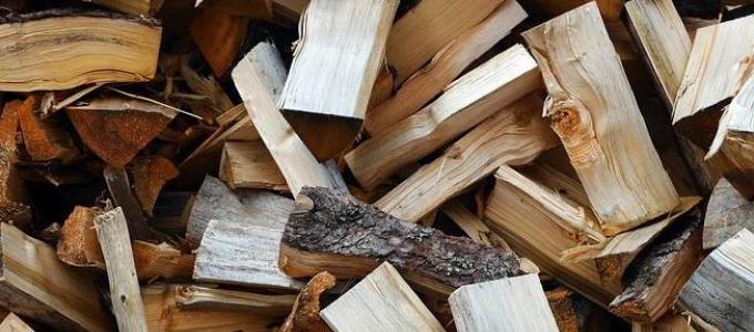 Selling firewood as a business idea Storage space
